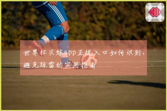 世界杯买球app正规入口如何识别，避免踩雷的实用指南