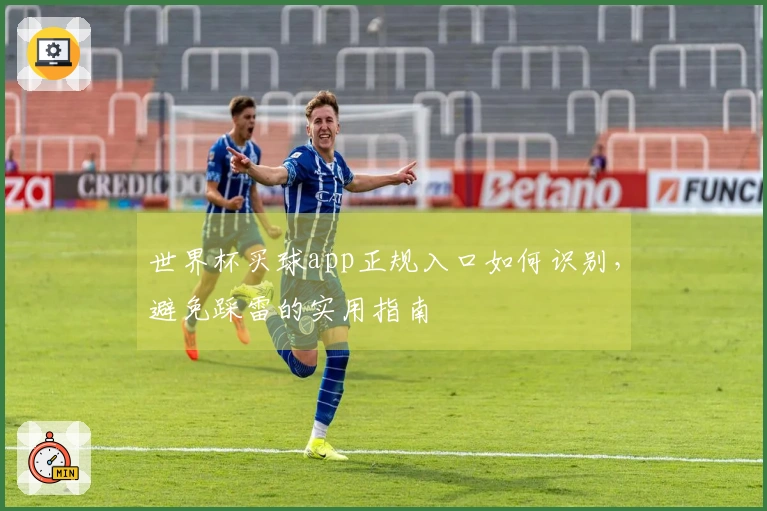 世界杯买球app正规入口如何识别，避免踩雷的实用指南